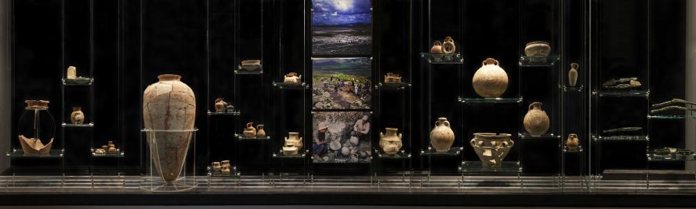 Archaeology Museum Display Case