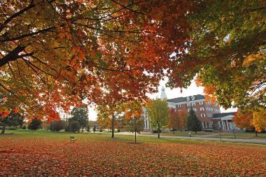 Billy Graham center through a canopy of beautiful autumn leaves