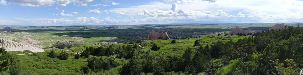 Black Hills view