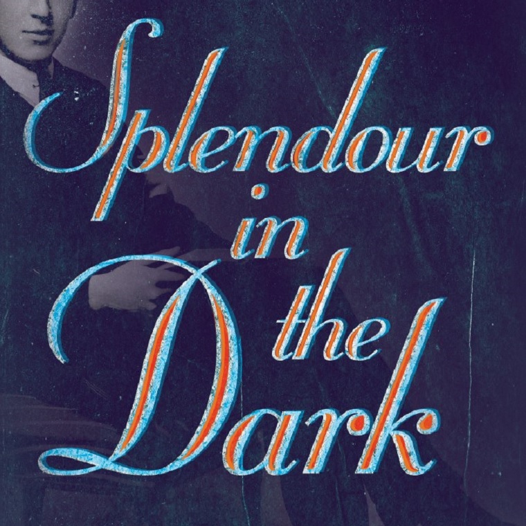 Splendour in the Dark book cover, Jerry Root